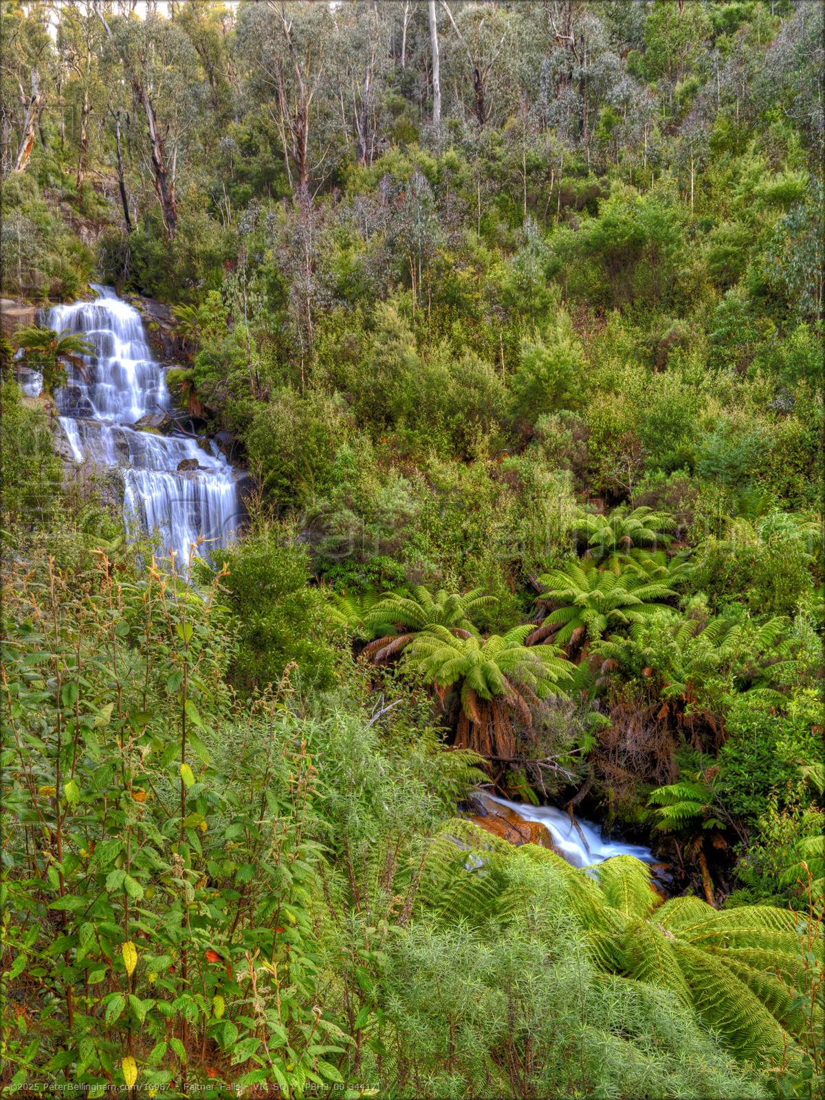 Peter Bellingham Photography Faitner Falls - VIC SQ V (PBH3 00 34417)
